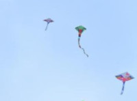 Les Natur’Ailes à Narbonne-Plage : un spectacle grandiose qui fait rayonner tout le littoral audois
